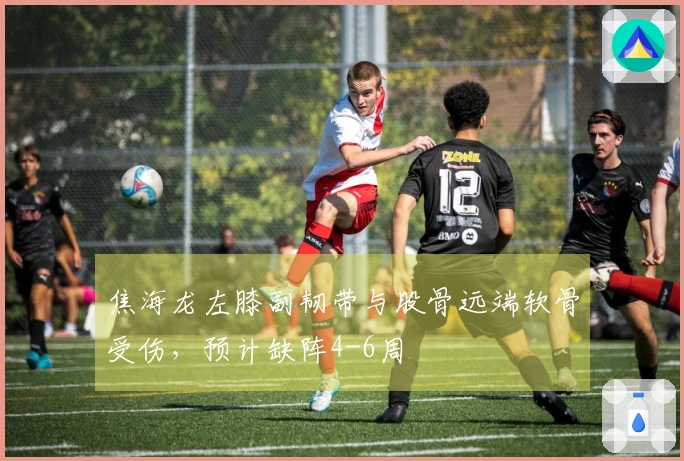 焦海龙左膝副韧带与股骨远端软骨受伤，预计缺阵4-6周