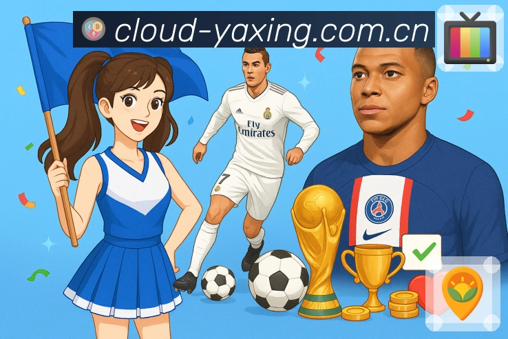 安全流程概览图